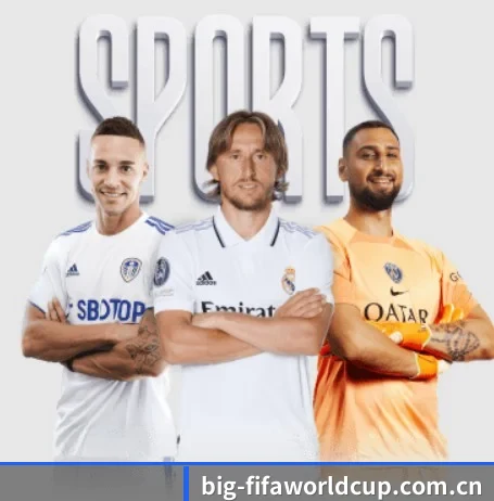 本站五个常用功能入口,赛程查询路径更短 - 多运动项目内容板块(FIFA World Cup2026)
